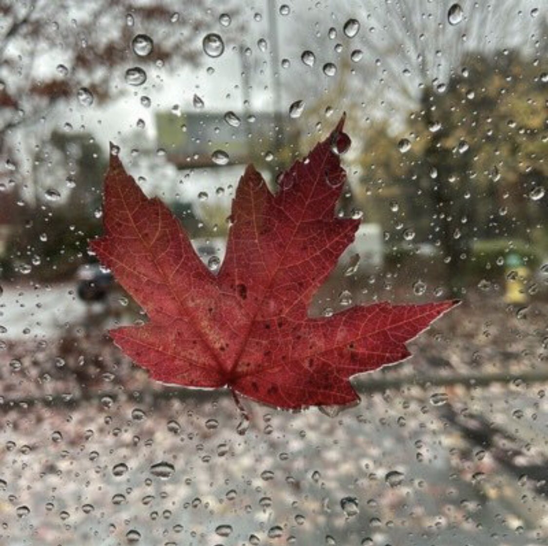 YAGMUR GRUP

 🌨️⛈️ <a href="/ygmr18_/">yağmur</a>
<a href="/gssslm/">💛İzmir❤Salim💛</a>
<a href="/_Glen72/">Gülen</a>
@krnfil486
<a href="/Orhn_02/">Orhan</a>
<a href="/bytk216/">nurullah</a>
<a href="/Krklm/">𝓗𝓪𝓴𝓪𝓷</a>
@emrh390
<a href="/Muratqy/">𝙼𝚞𝚛𝚊𝚝 𝚈ü𝚔𝚜𝚎𝚕</a>
<a href="/1yigidimaslanim/">🇹🇷Y İ Ğ İ T🇹🇷</a>
<a href="/ercankusoglu/">Ercan Kuşoğlu.</a>
<a href="/LivingTodayEver/">İLiveYou💪🇦🇿❤️🇹🇷♂️🔥 Motivated/Sporty🔥💪</a>
<a href="/farid10ahmadli/">Farid Ahmadli</a>
<a href="/emreakan4/">Emre Akan</a>
<a href="/florchicana/">Selene  🖤Perfectly imperfect 🖤❌DM❌</a>
<a href="/PskDilek/">Dilek 🌊🍃</a>
<a href="/evrimdeniz2219/">Eᴠʀɪᴍ 亗</a>
@iyix__
<a href="/alfa_hak/">tokatgibigerçekler</a>
<a href="/kaandeyinn/">kaannn</a>
<a href="/BaKIMLIKuRT/">☾☆ IV. SeLiM ☆☽</a>