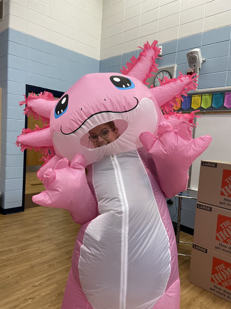 Melissa Harry tweet media