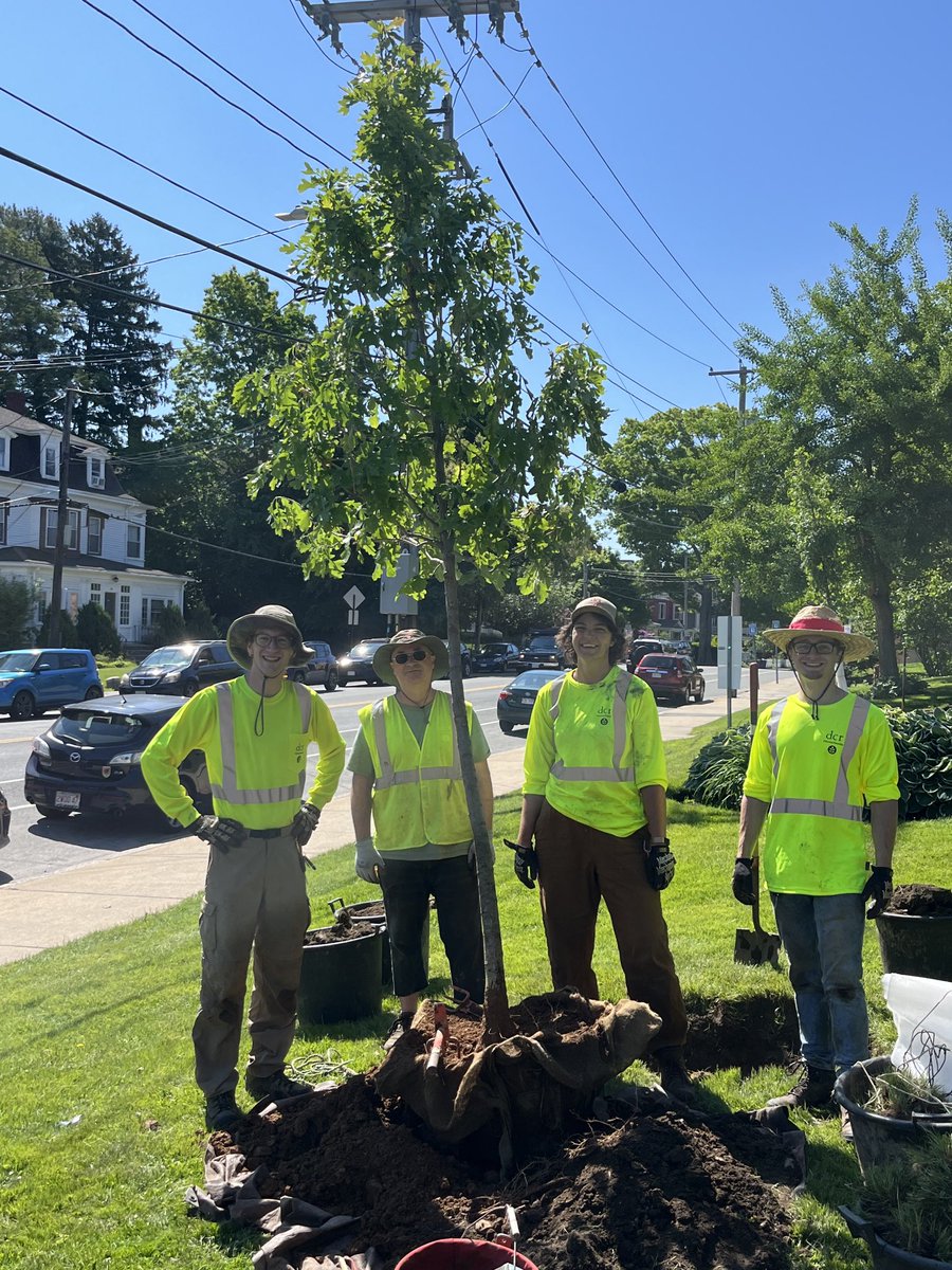 Glorious day at Salem State! Thank you Mayor Pangallo and DCR for planting new trees.  And a shout out to Senior Deputy Commissioner Clantha McCurdy and all Mass high school guidance counselors on campus to discuss historic affordability of public higher ed!