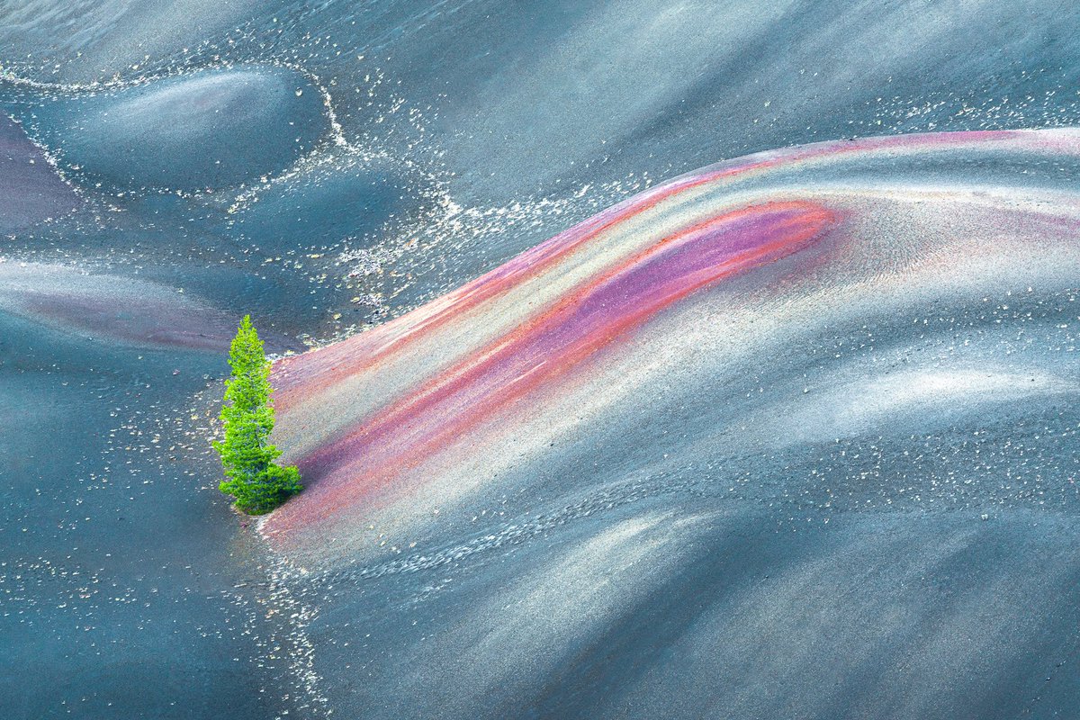 Today in #PacArt

Take me to the Land of Dreams to a world of infinite possibilities. 

$PAC community or not, who’s with me?