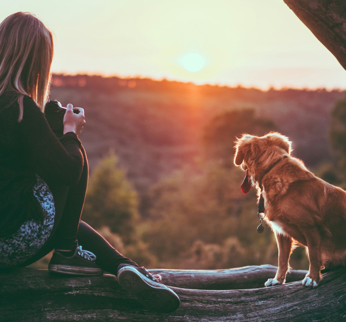 There are many ways to support your furry companion's respiratory health, from maintaining a healthy weight to reducing stress and providing regular exercise. 
🌟🐕🐈 #AsthmaLifestyleTips #PetWellness #AsthmaTipsForPets #OakhurstVet #AsthmaSafeHome #PetHealthTips