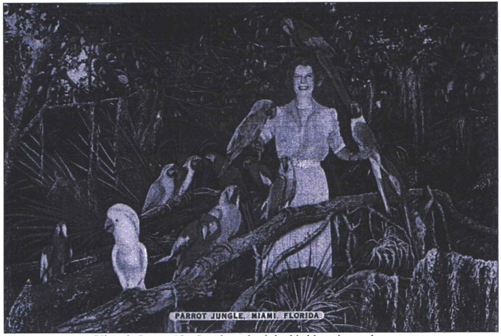 For all parrot-owners, what is the strangest phrase it has ever repeated?

This photo of an unknown woman remaining very calm while surrounded by parrots was taken at the Parrot Jungle, a former park in Miami, Florida! #ArchivesPets #ArchivesHashtagParty

catalog.archives.gov/id/77843255