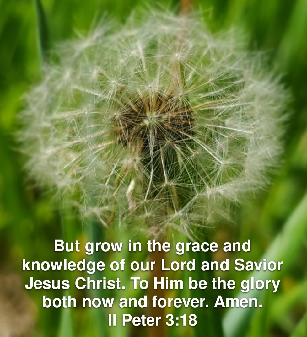 invasion2020's tweet image. Grow time!