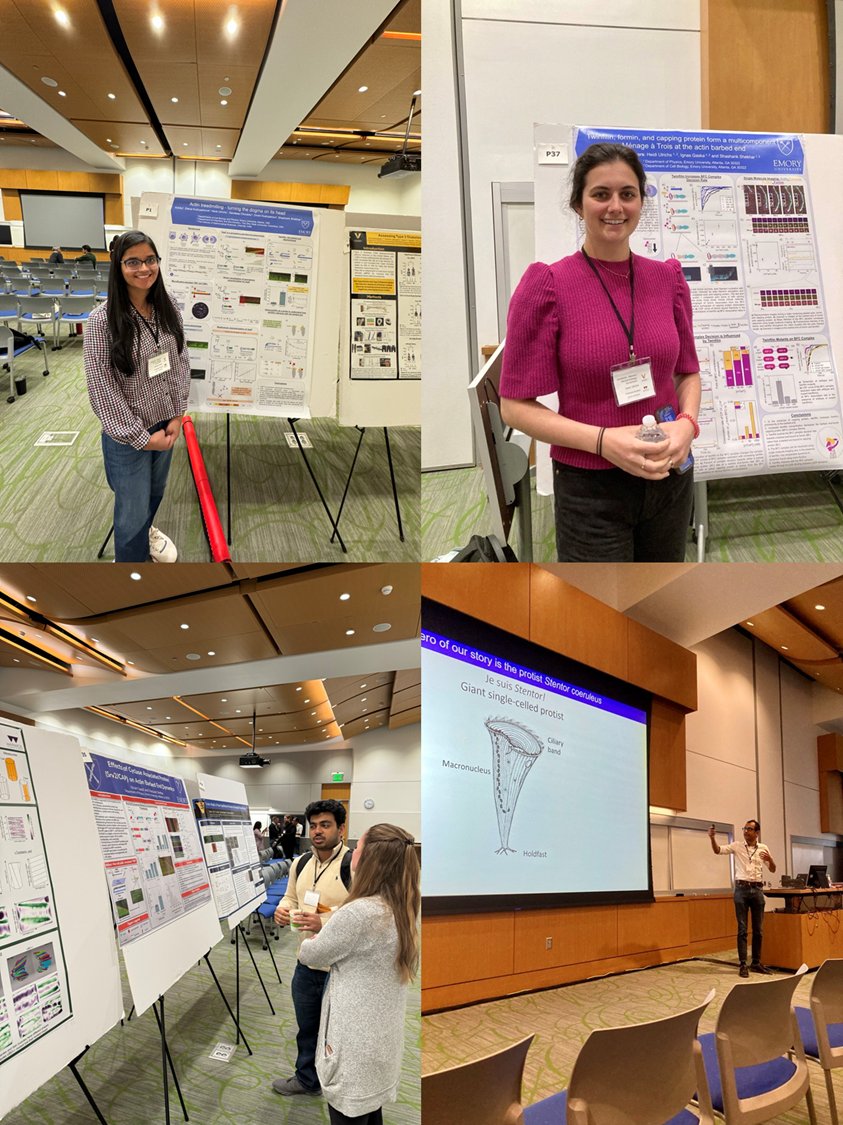 Shekhar lab (@sshekhr) on Twitter photo That's how we science in the Shekhar lab! Lab members presenting their exciting discoveries at the <a href="/VanderbiltU/">Vanderbilt University</a>-Warwick Mechanobiology symposium! <a href="/TheVCoM/">Vanderbilt Center on Mechanobiology</a> <a href="/Warwick_CMCB/">mechanochemistry</a> <a href="/Heidis_Cells/">Heidi Ulrichs</a> <a href="/a_ankita1/">Ankita Arya</a> That's how we science in the Shekhar lab! Lab members presenting their exciting discoveries at the <a href="/VanderbiltU/">Vanderbilt University</a>-Warwick Mechanobiology symposium! <a href="/TheVCoM/">Vanderbilt Center on Mechanobiology</a> <a href="/Warwick_CMCB/">mechanochemistry</a> <a href="/Heidis_Cells/">Heidi Ulrichs</a> <a href="/a_ankita1/">Ankita Arya</a>