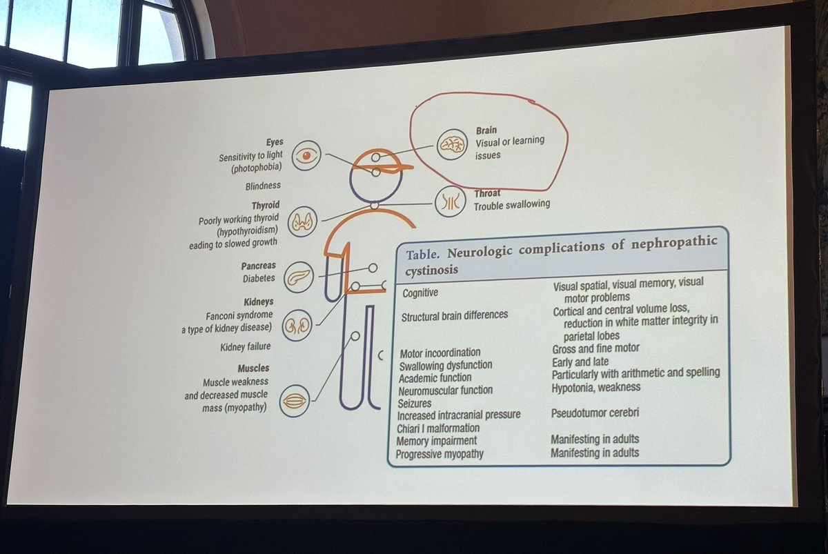 Exploring Neuromarkers in #Cystinosis:  Sophie Molholm, PhD, presents findings on the sensory and cognitive implications of this rare condition. 

<a href="/SMolholm/">Sophie Molholm</a> #CystinosisSymposium #RareDisease