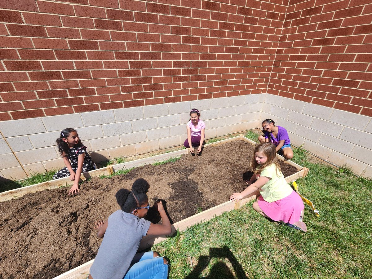 Katie Swanson (@ms_swanson_dis) on Twitter photo #SaveTheWorld #Environmental Club did an amazing job building and planting a new #garden for #butterflies <a href="/Discovery_elem/">Discovery Elem</a> #SaveTheWorld #Environmental Club did an amazing job building and planting a new #garden for #butterflies <a href="/Discovery_elem/">Discovery Elem</a>