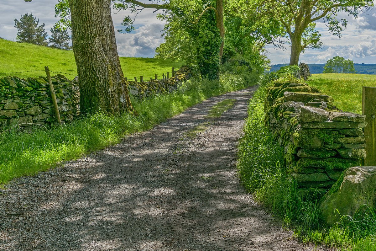 Lane at Troutbeck running between the meadows. Yesterday afternoon's walk around Troutbeck.