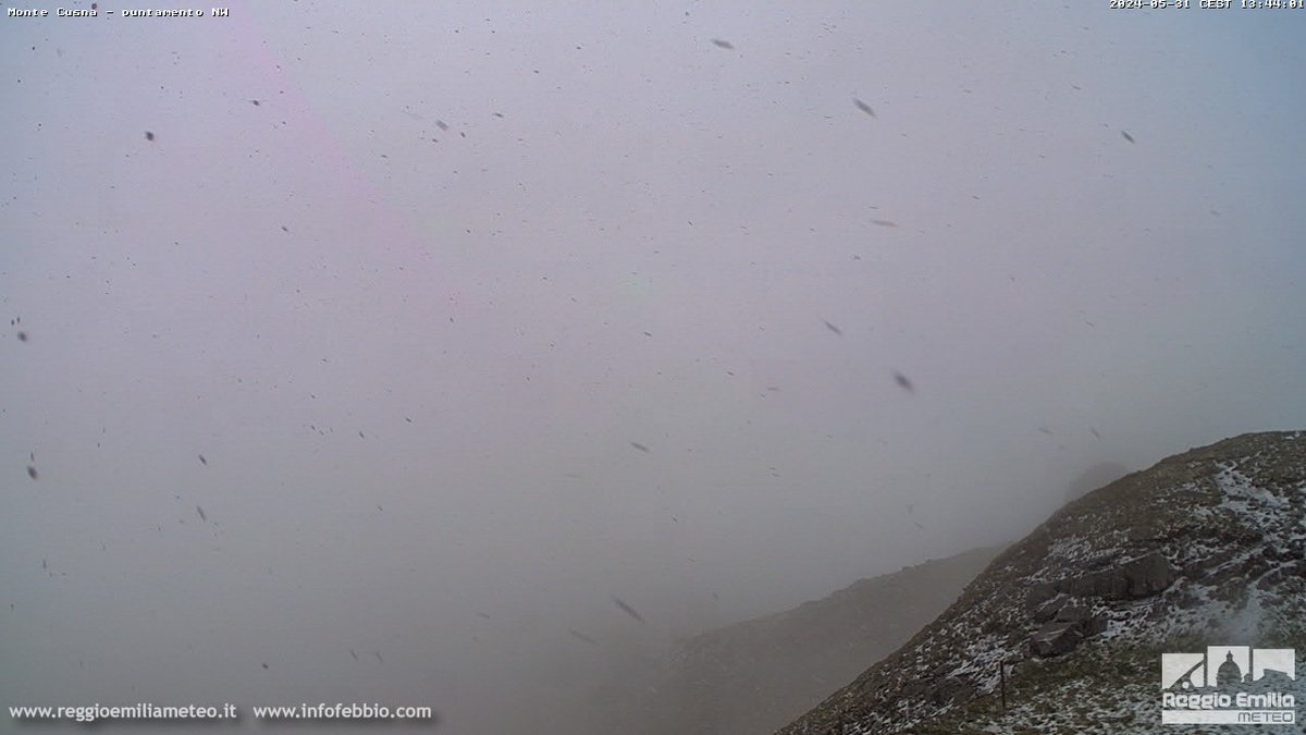 remeteo's tweet photo. Ore 15.45, #temporale con #NEVE lungo il Crinale! Temperatura scesa a +0.3°C all'osservatorio del #MonteCusna (2060m), +2.3°C al #RifugioBattisti (1760m).
Sul #Cusna una prima leggera imbiancata si era già registrata alle 13.45.
Tutte le webcam: https://t.co/VAWsGERX9Y https://t.co/sJ8YoJOcte