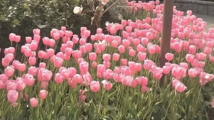 𓆩♡𓆪 tweet media