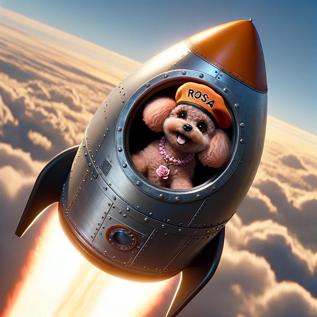 nocontext_yemek's tweet photo. #rosa uçacak dedik uçuyor 🥇 💸🚀🚀 katıl bize 🙋🏻‍♂️ https://t.co/KENMAiU0nv
