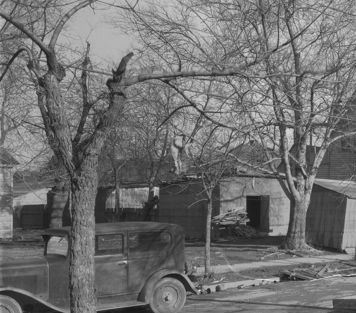This about does it for #ArchivesPets! Have a great weekend, and may you not find yourself in a sticky situation like the poor cat in this tree, as photographed by <a href="/TVAnews/">Tennessee Valley Authority</a>!  #ArchivesHashtagParty

"Murrell Boulevard note cat in tree, 1937" - catalog.archives.gov/id/201241416