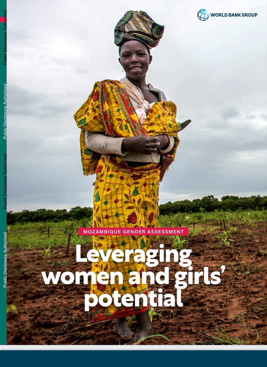 Improving the lives of women &amp; girls begins at home and enhances with support from the whole society. The #Mozambique Gender Assessment report highlights the need for a targeted, muti-sectorial approach to empowering women and girls. Join us👉 shorturl.at/PIHF2
