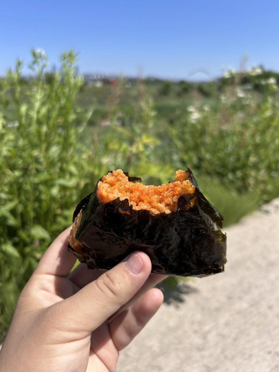 hinokyuko's tweet image. 2024.5.31
ROKAF F4-E
午後から撮りに行ったら
1330に着陸した　F5がラストでした。
幸い今日も一機だけは撮りましたが、
降りてくると信じて4時間近く日陰のない場所で待ってたので疲れました笑笑
#ROKAF #F4E #RKSW 
F4-E引退まであと７日...ㅠㅠㅠㅠㅠㅠ