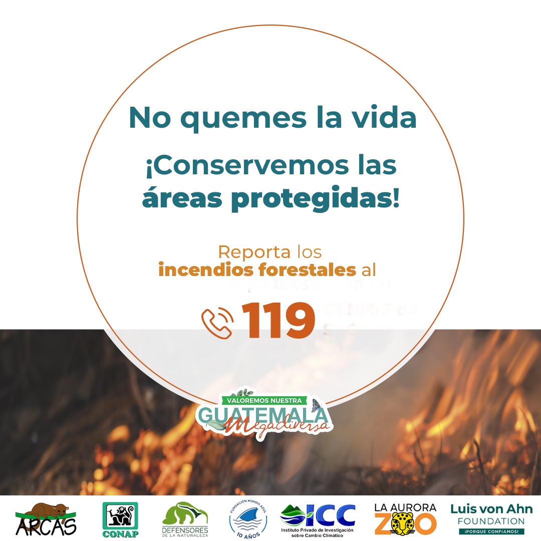 #NoQuemesLaVida  ¡Conservemos las #ÁreasProtegidas! Reporta los #IncendiosForestales al ☎ 119.  ¡Valoremos nuestra #GuatemalaMegadiversa!  #DiversidadBiológica #ÁreasProtegidasGT  #PrevenirEsConservar #ALTOalosIncendiosForestales