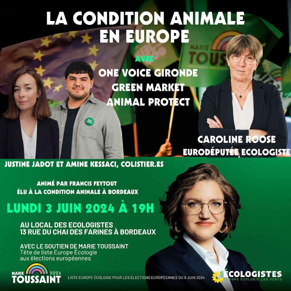 eelv_bordeaux's tweet photo. La condition animale en Europe 
lundi 3 juin à 19H
au local des Ecologistes 

en présence de @CarolineRooseEU , Députée Européenne, de Justine Jadot et Amine Kessaci, https://t.co/TgBZlay7px. 

Avec One Voice Gironde, Green Market et Animal Protect. Anim�� par @FrancisFeytout https://t.co/BO0yxTxepm