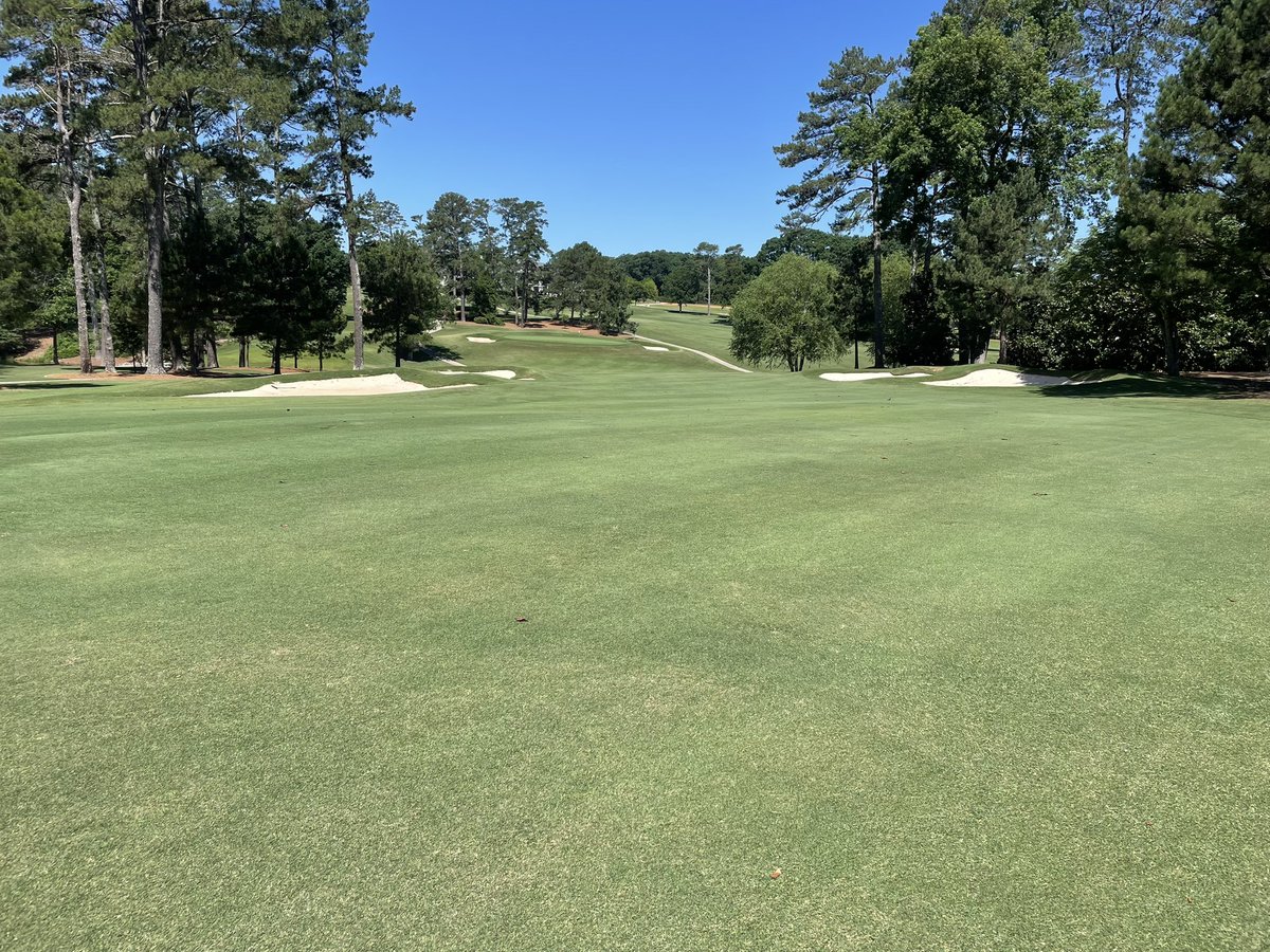 The latest member of the SuperBents Revolution is Athens CC in Athens GA. James Drinkard renovating his greens to 007XL planted about 10 days ago. Looking forward to seeing this place #DLF, #SeedResearch, #SuperBents. What’s on your golf course?