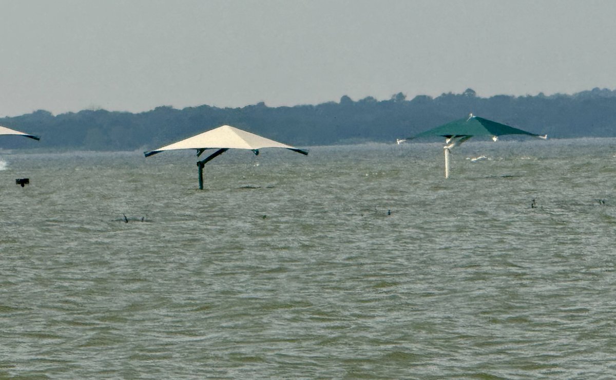 Lake Park & Boat Ramp Closures - Due to consistent rainfall, #GrapevineTX Lake is more than 14' over the normal pool. Please use EXTREME CAUTION & ALWAYS wear a lifejacket while using watercraft and/or swimming in the lake. Shoreline structure hazards may go unseen & create