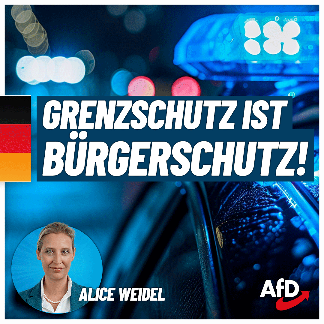 #Grenzschutz ist Bürgerschutz! Während die #Ampel tatenlos dabei zusieht, wie die innere Sicherheit erodiert, setzen wir uns für sichere Außengrenzen und ein Ende der illegalen Migration ein. Jetzt informieren: afd.de/europa-neu-den… #AfD #DeshalbAfD #Stürzenberger #Mannheim