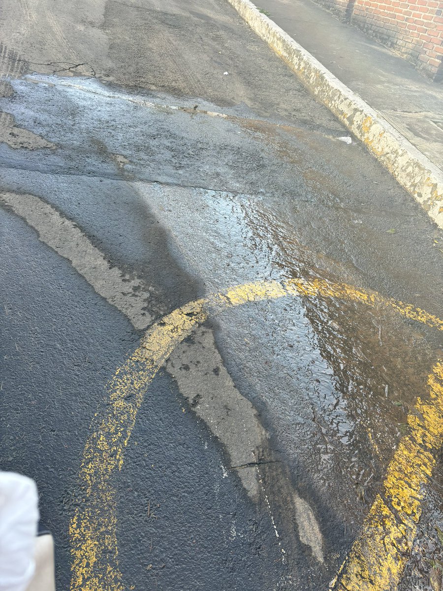 Willis28 tweet media