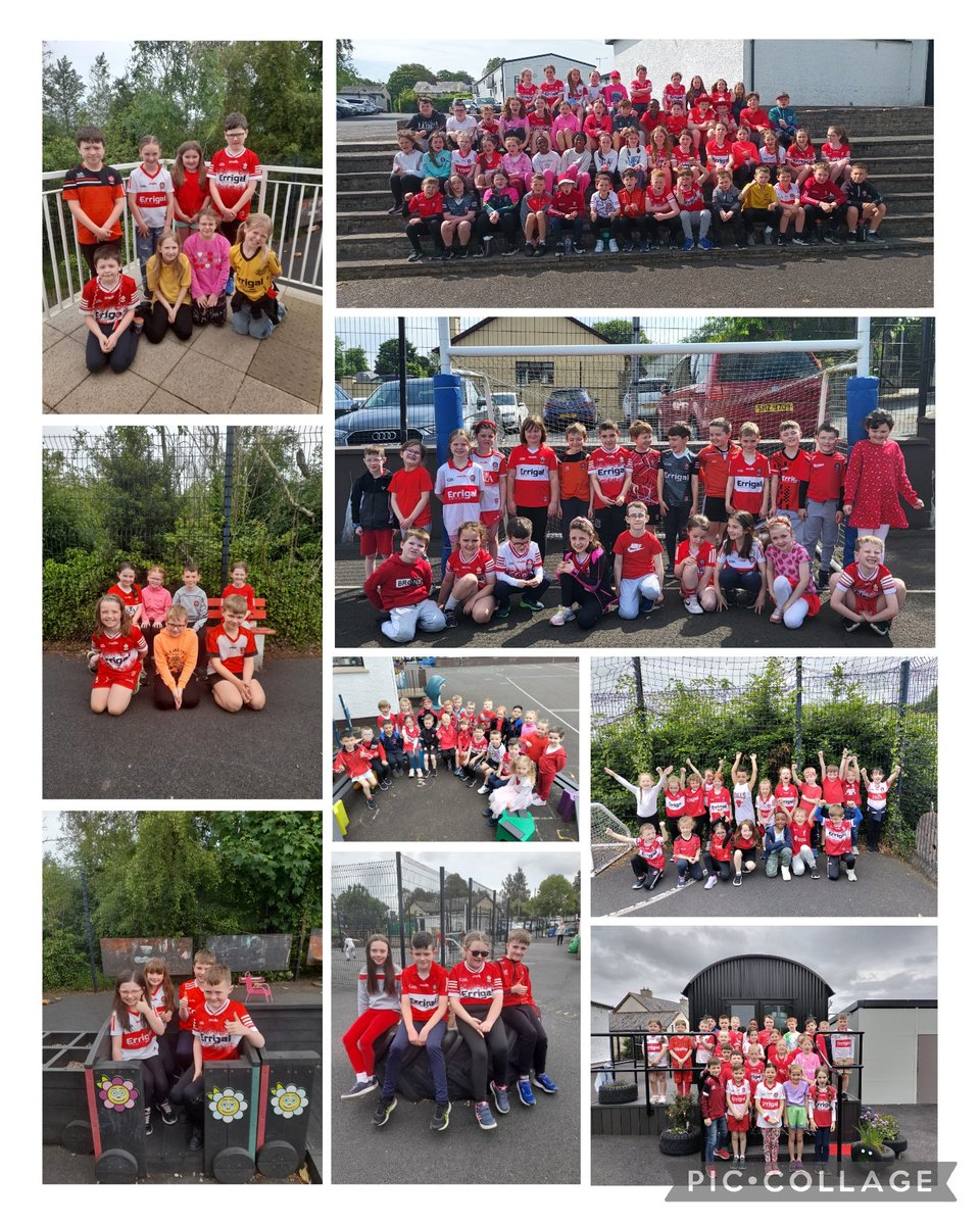 St. Mary's P.S. Draperstown (@stmarysbscreen) on Twitter photo ๐ฒ๐นRed and White Day๐ฒ๐น
Everyone at St. Mary's PS wishes the Derry Senior Hurlers the best of luck in the Christy Ring Final on Sunday. Doire Abu! <a href="/Doiregaa/">Derry GAA</a> <a href="/Doire_mBunscol/">Doire GAA mBunscol</a> <a href="/ScreenGAA/">Ballinascreen GAC</a> ๐ฒ๐นRed and White Day๐ฒ๐น
Everyone at St. Mary's PS wishes the Derry Senior Hurlers the best of luck in the Christy Ring Final on Sunday. Doire Abu! <a href="/Doiregaa/">Derry GAA</a> <a href="/Doire_mBunscol/">Doire GAA mBunscol</a> <a href="/ScreenGAA/">Ballinascreen GAC</a>
