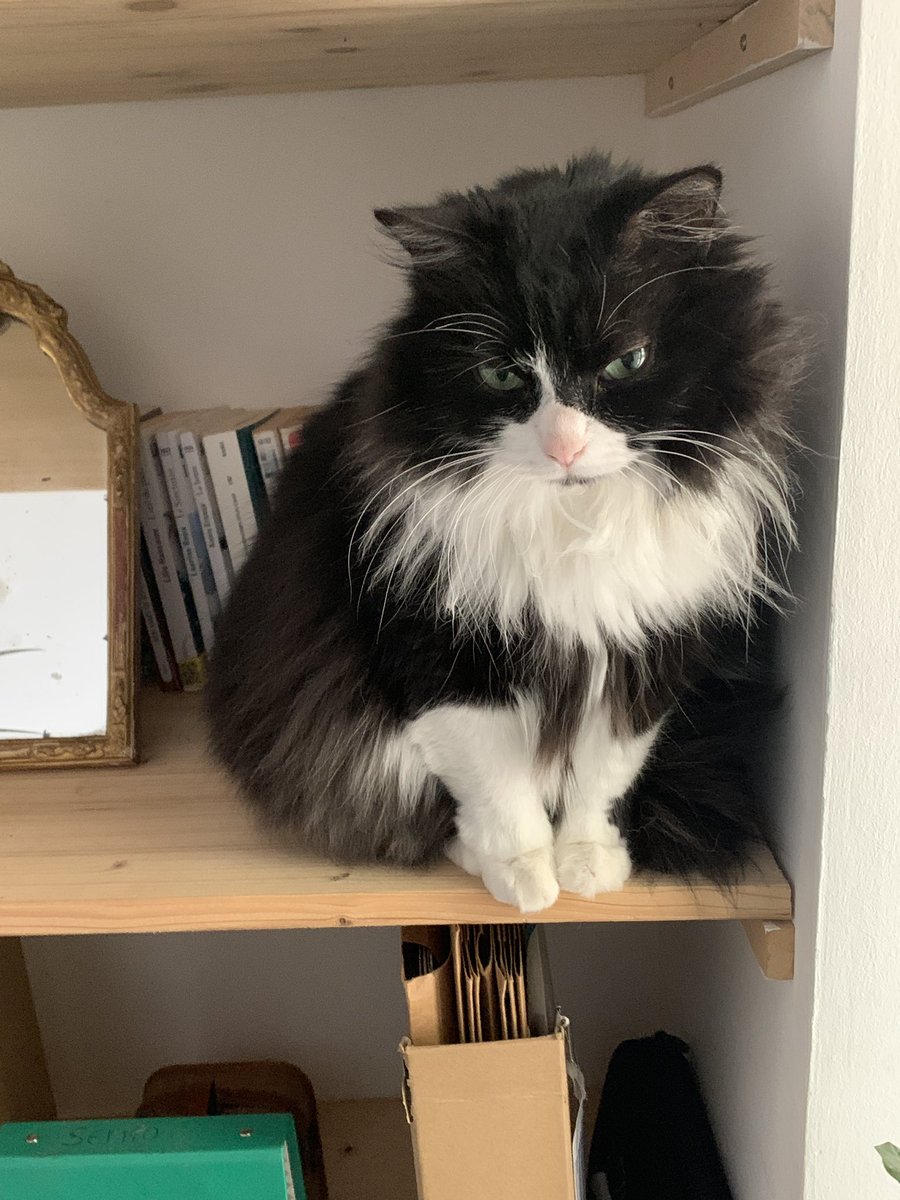 Si vous pourriez dire bonjour à Mikie aujourd’hui s’il voulait plaît ça serait la moindre des politesses!!!!!!