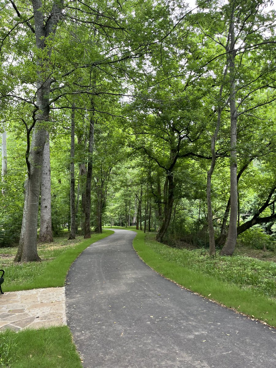 Jeremy Carter tweet media