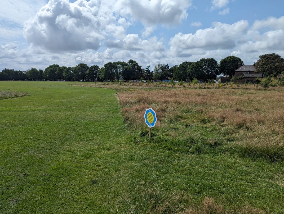 #GrassCutting Why are some grassed areas cut differently than others? 🌱 Check out the video shared below from @lpoolcouncil featuring @CllrLauraRC explaining the reasons behind varying cutting methods... Less cutting in certain areas benefits nature! liverpool.gov.uk/environmental-…