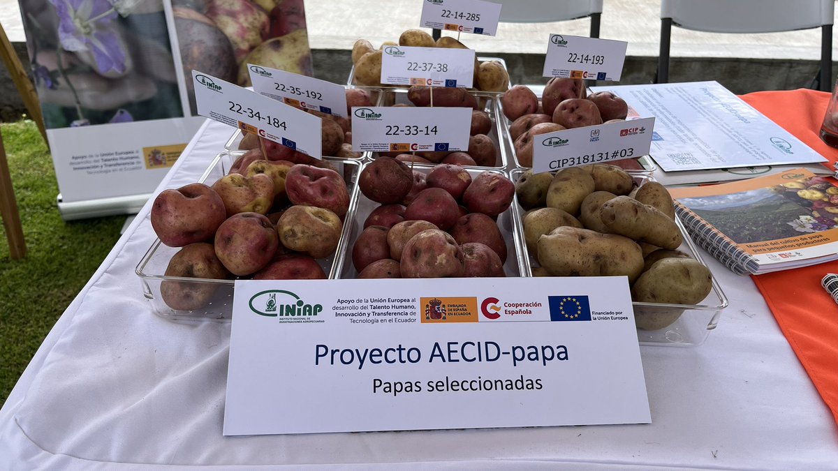 aecidecuador's tweet photo. Visita al @Cipotato en Sta Catalina 🇪🇨 por el Día Internacional de la #Papa 🥔, donde vimos los resultados del proyecto “Desarrollo de germoplasma de papa con resistencia al tizón tardío, nematodo del quiste y calidad” que tenemos con @INIAPECUADOR 

Enhorabuena @IniciativAndina https://t.co/SysTgToMCp