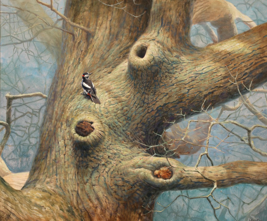 Julian Friers tweet media