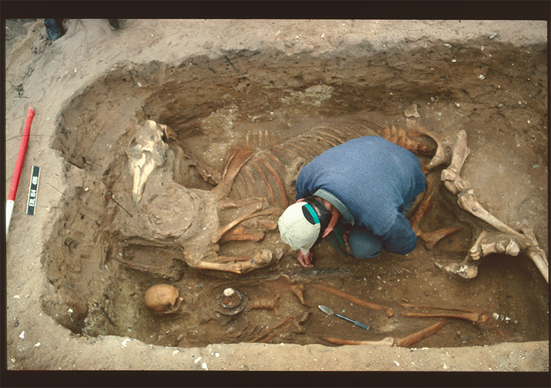 Lakenheath's Anglo-Saxons past is uncovered in a new book published by SCCAS and @CotswoldArch, funded by the MOD Details of 1,500 year old burial grounds at RAF Lakenheath, including that of the famous Lakenheath Warrior. Find out more here: heritagesuffolk.wordpress.com/2024/05/31/lak… 📷SCCAS