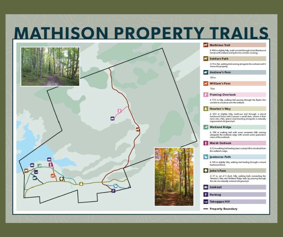 International Trail Day! 🌳🌲
June 1st is dedicated to celebrating trails, their   development, uses, and the healthy lifestyle they encourage.
Celebrate International Trail Day by exploring the Mathison Property trails!
Located at 39 George Street East, Havelock, ON K0L 1Z0.
