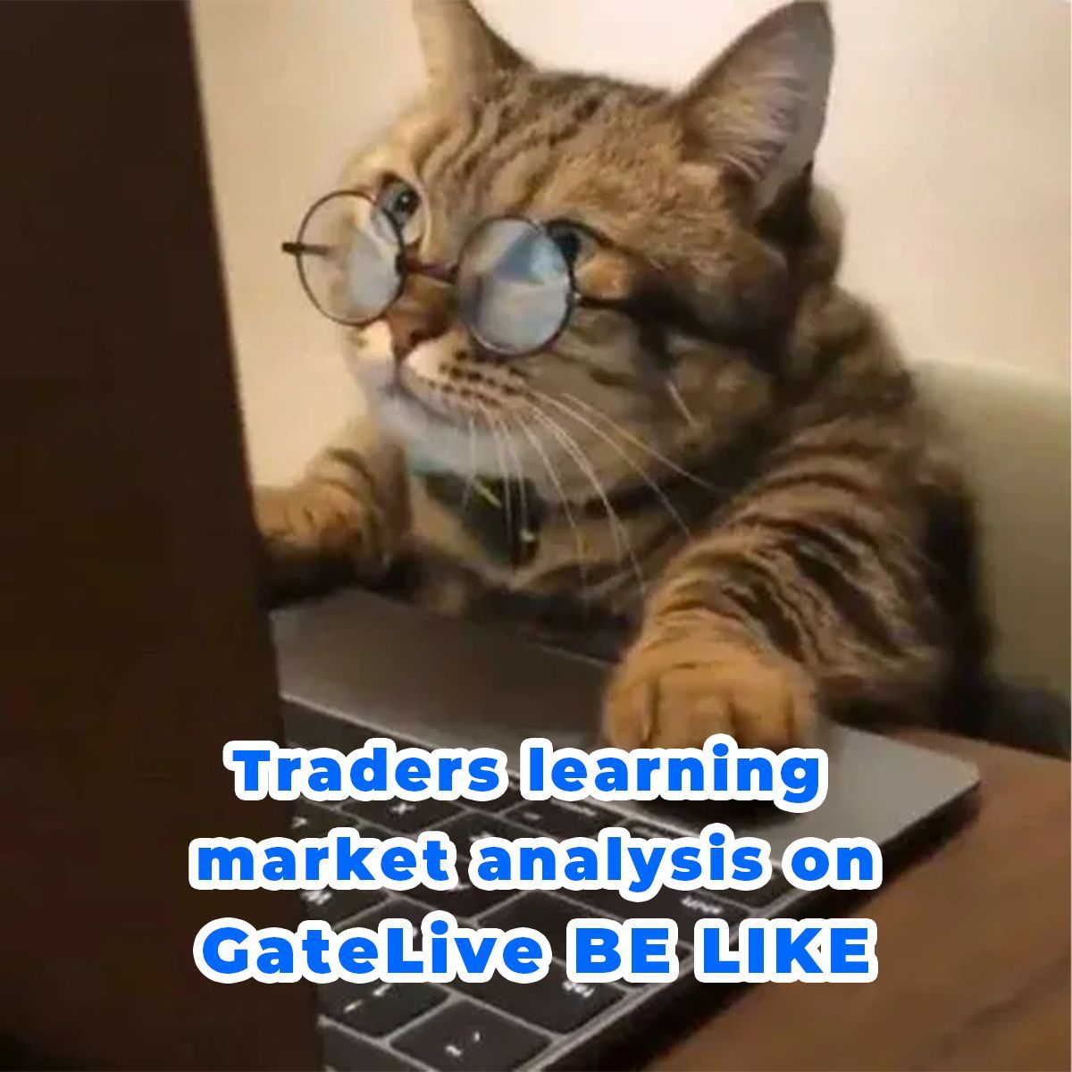 As great traders, we should never STOP learning 📚 Learn more on #GateLive👉 gate.io/live/coming-so…