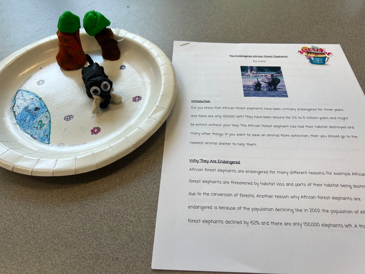 Endangered animal reports and playdoh sculptures! 🐝🐘🐢