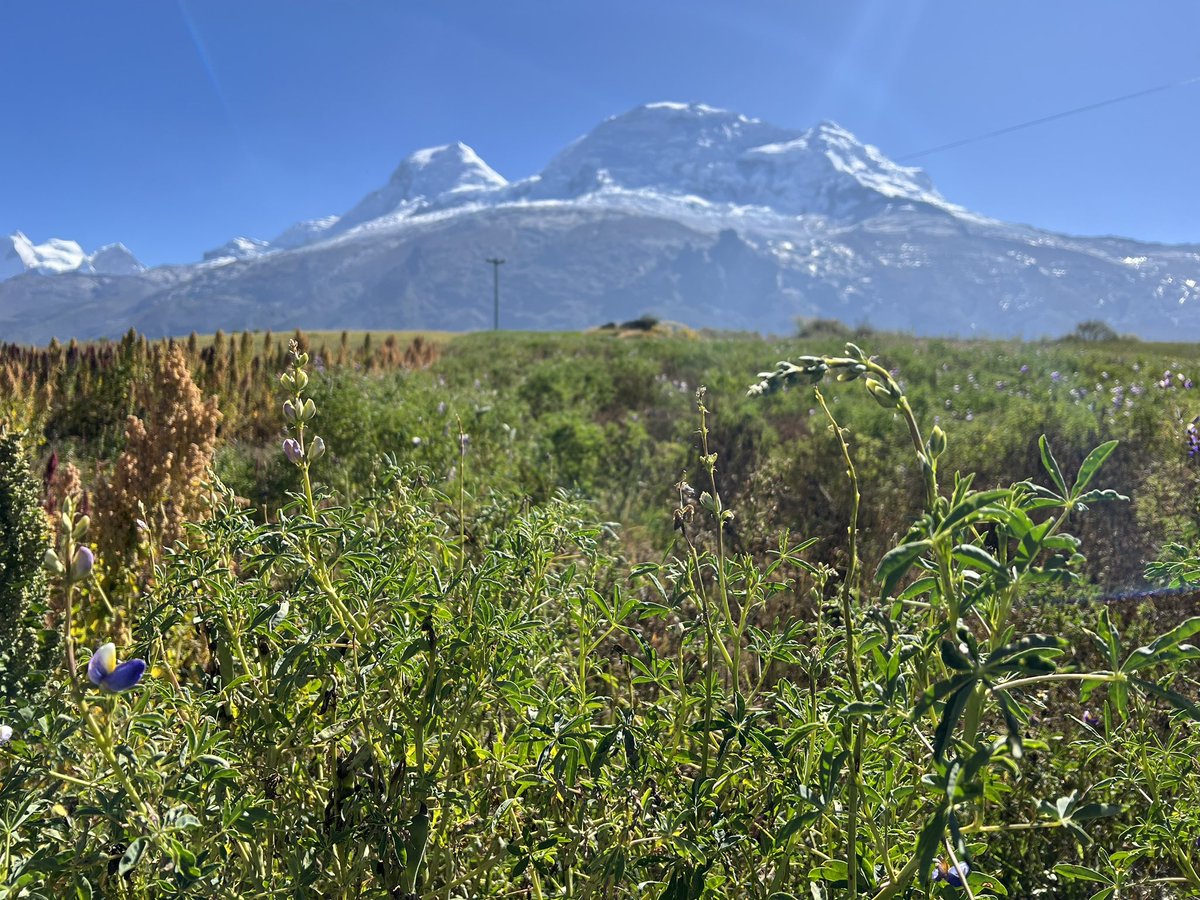 Moving Mountains tweet media