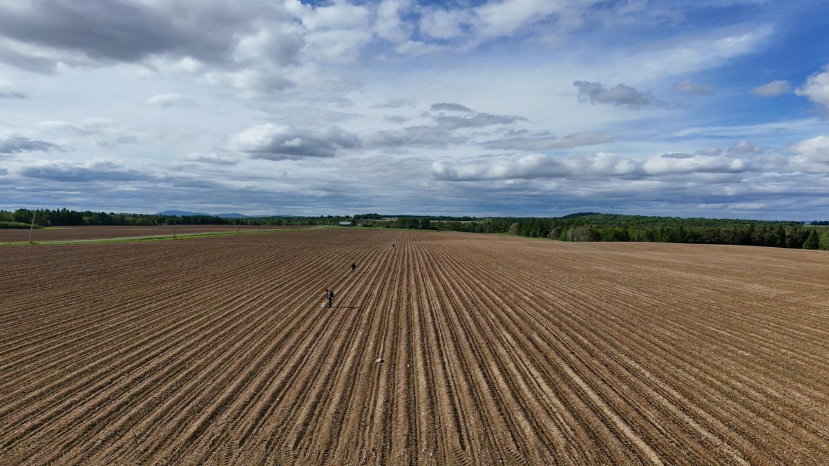 Field day in Woodstock, NB! Collecting greenhouse gas measurements from potato and cover crop fields. #SustainableFarming #Precisionagriculture