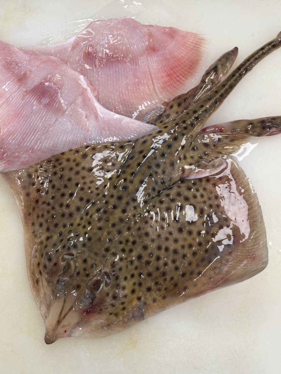 NewlynFishing's tweet photo. “So #FishFriday it is then” Through the Gaps! - Newlyn Fishing News: Plenty of fine fish for the final May #FishyFriday auction!: https://t.co/jKDmpAkGJh …#SupportLocalFishmongers https://t.co/PirtOWbUTU