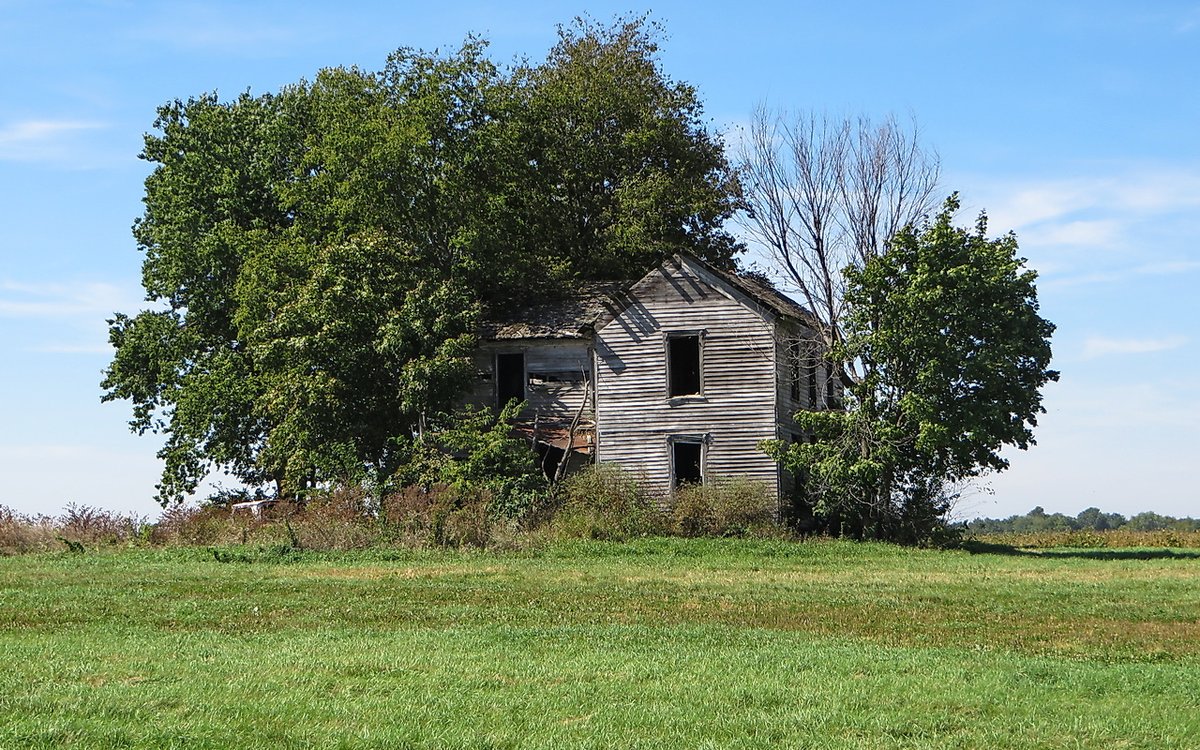 scl901's tweet image. #DailyPicTheme2 #Upkeep