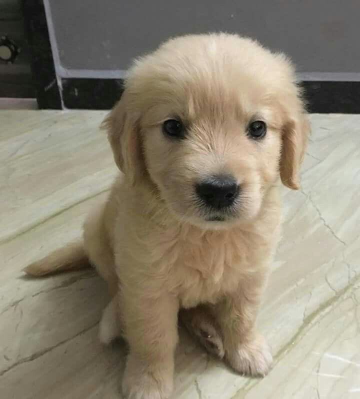 takemybear's tweet photo. จะไม่ทัมอีกแร้ว                       รอบที่แล้วก่ะพุดแบบนี้ https://t.co/Swipn2wjbH