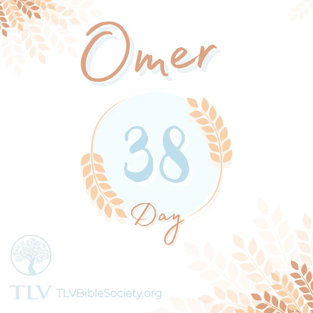 TLVBibleSociety's tweet photo. Day 38 of counting the Omer! ๐พ๐๏ธ
Follow along on our Bible App โก๏ธ https://t.co/JvWVmLuURb
๐link-in-bio
#counttheomer #omer #count #passover #matzah #shavuot #holyspirit #holyspiritcome #countdown #tlv #tlvbible #shalom https://t.co/xDEdLYcNjJ