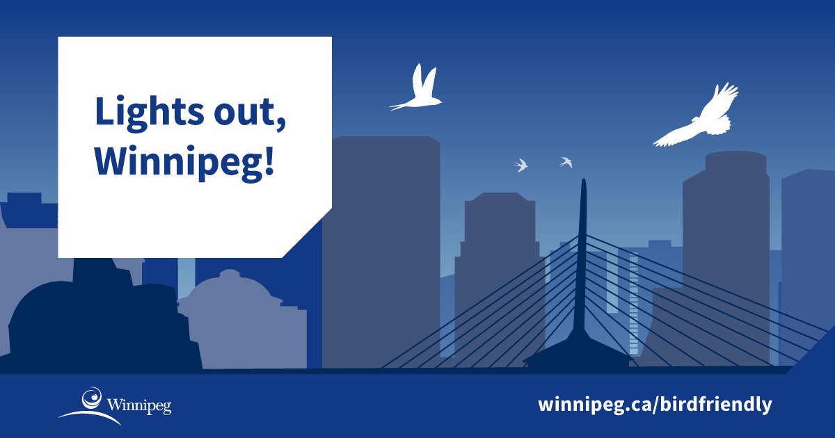 Bird migration season is almost over. Preserving bird populations helps the environment. Find out what you can do to be more bird-friendly: winnipeg.ca/birdfriendly #birdfriendly #lightsoutwinnipeg
