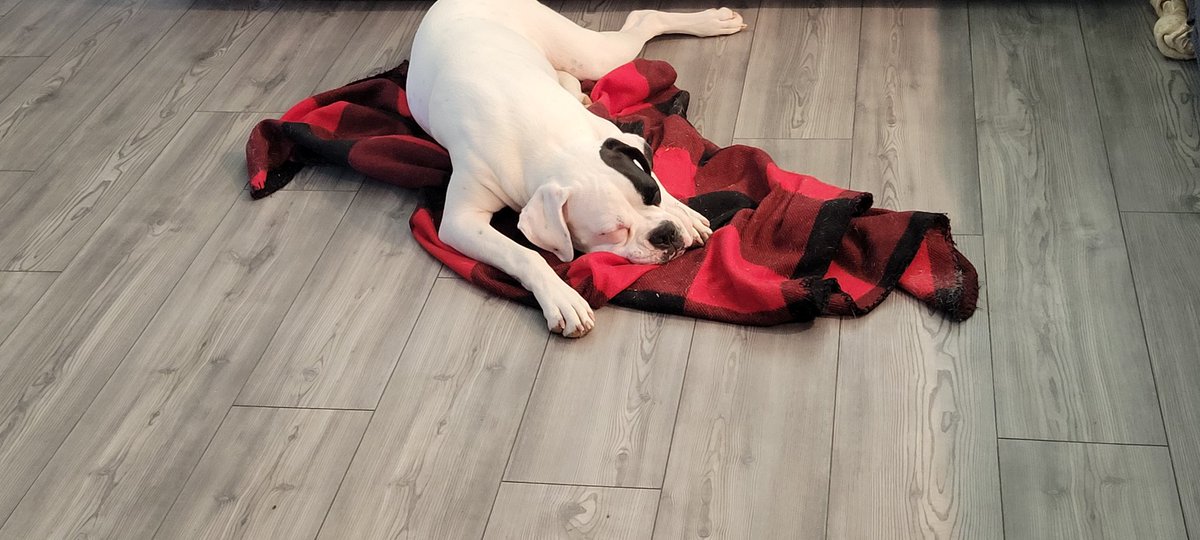 ❤️🥹 Ya crecio mi bebe