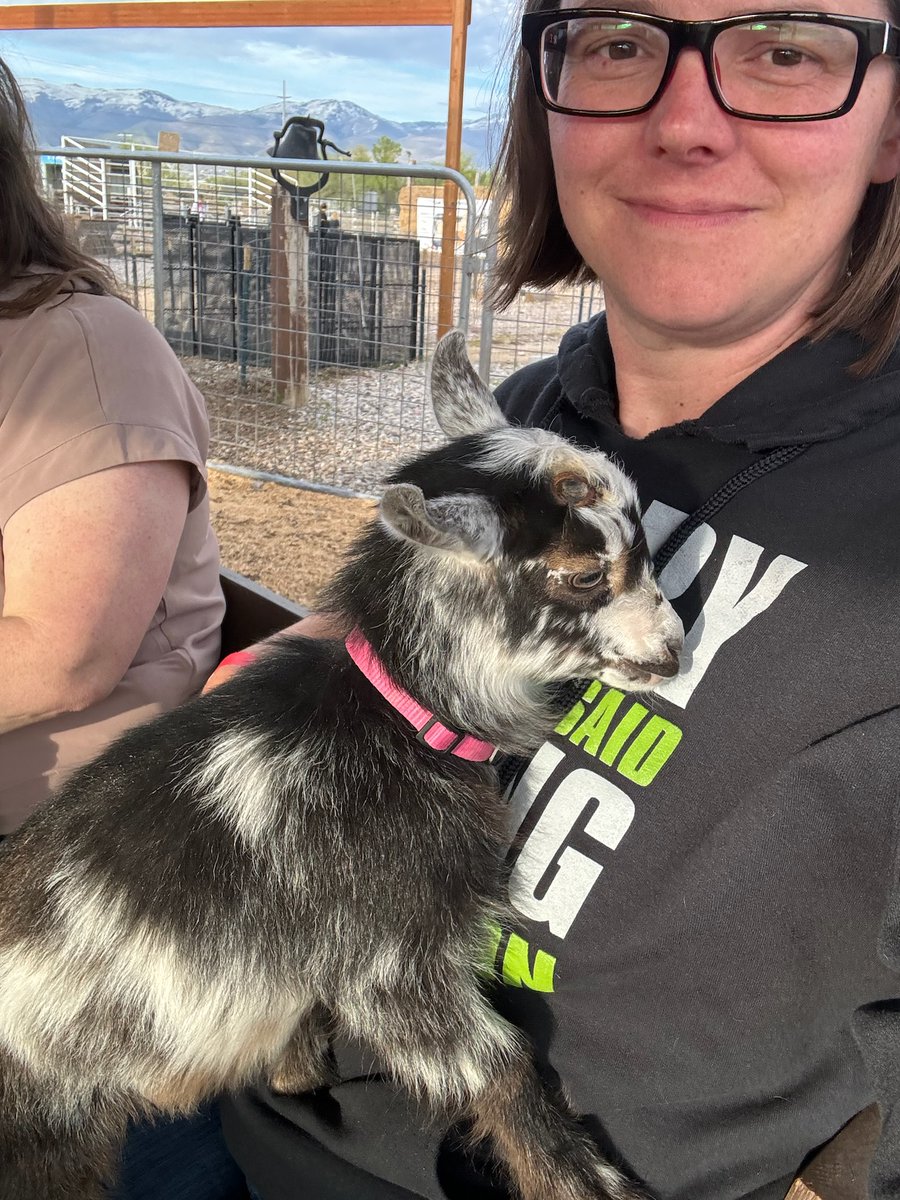 bkydbookkeeper's tweet photo. Heeeeeey Utaaaah! π
Join Backyard Bookkeeper at the Utah Days of 47 Rodeo ππ
#backyardbookkeeper #notyouraveragebookkeepers #letusdoyourdirtywork #finance #payroll #bookkeeping #bookkeeper #accounting #smallbusiness #rodeo #utah #daysof47rodeo https://t.co/zZo5Ih770V
