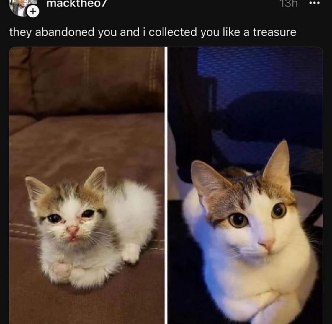 Respectful Memes (@respectfulmemes) on Twitter photo 