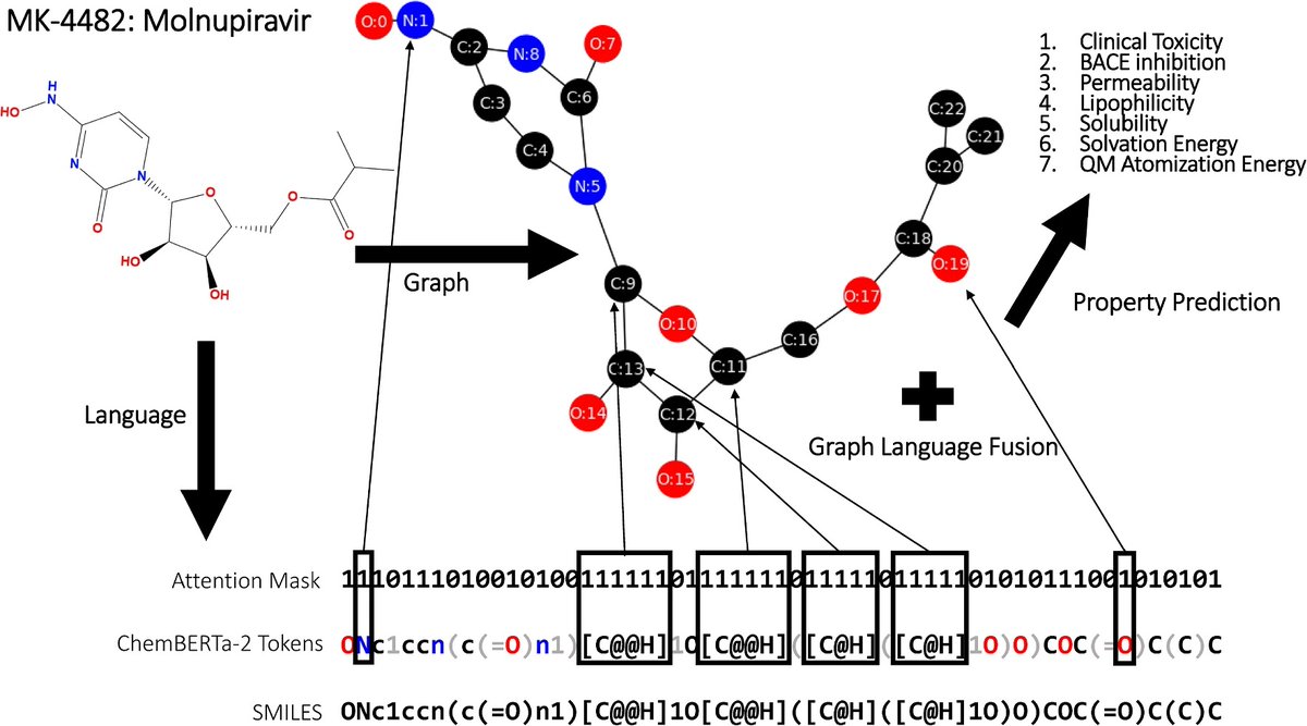 new: 'MolPROP: Molecular Property prediction with multimodal language and graph fusion' jcheminf.biomedcentral.com/articles/10.11…