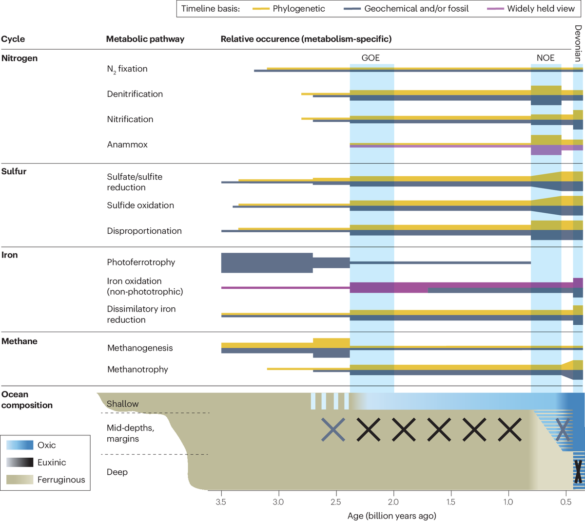 Co‐evolution of early Earth environments and microbial life

rdcu.be/dJyZI

In this Review, Lyons, Tino & colleagues explore the evolution of microbial life, focusing on early metabolic pathways and their role in Earth's changing environments over billions of years.