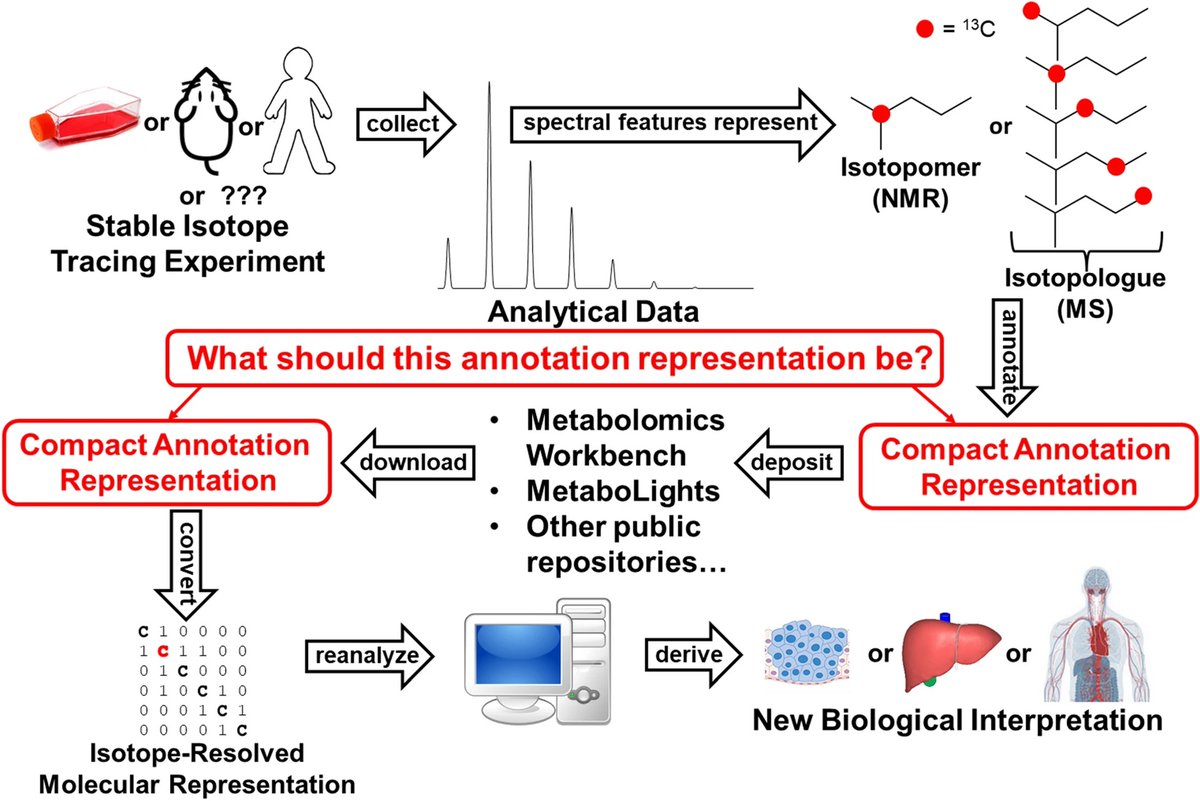 New: 'InChI isotopologue and isotopomer specifications' jcheminf.biomedcentral.com/articles/10.11…