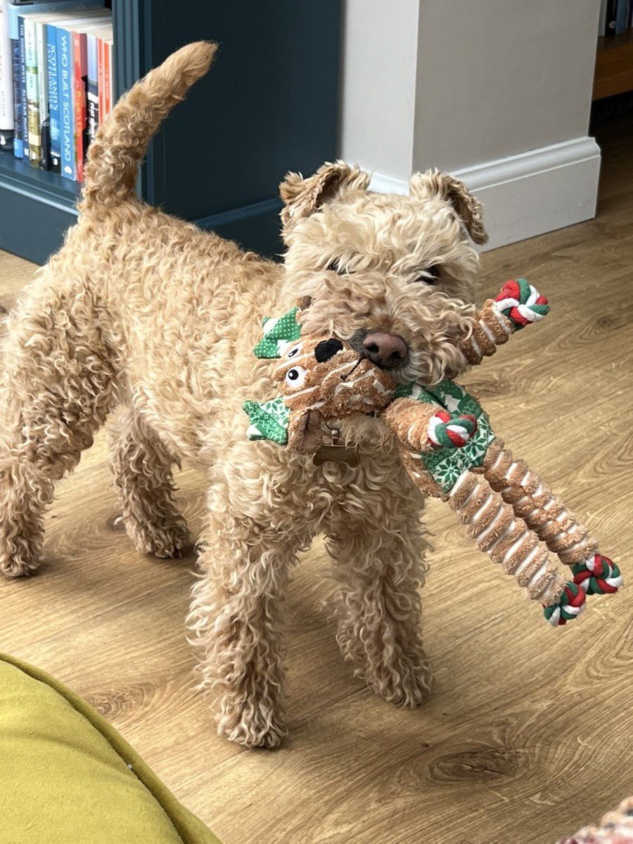 Bertie Lakeland tweet media