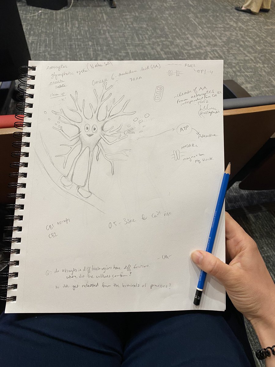 Maria Zamfir, PhD tweet media