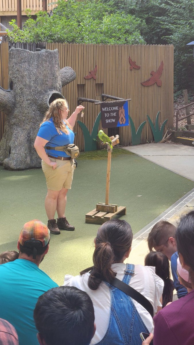 Meet Rico a Yellow Naped Amazon Parot that's not actually from the Amazon teach us the best ways to recycle.