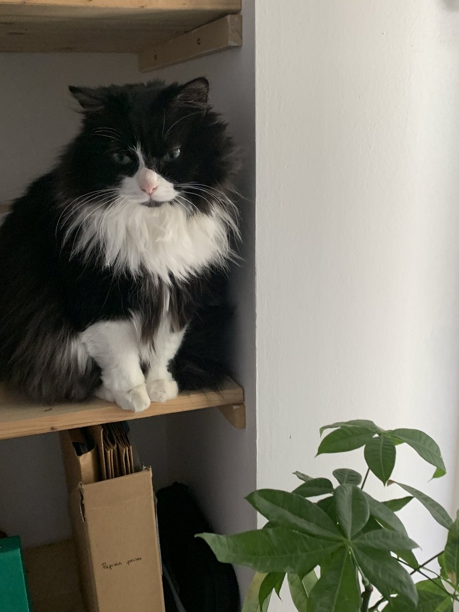 md 🇵🇸 tweet media